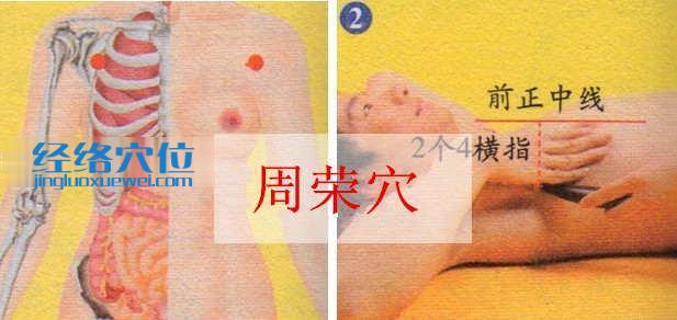 周榮穴的準確位置及取穴方法示范圖