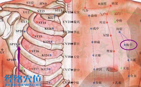 胸鄉穴的準確位置圖