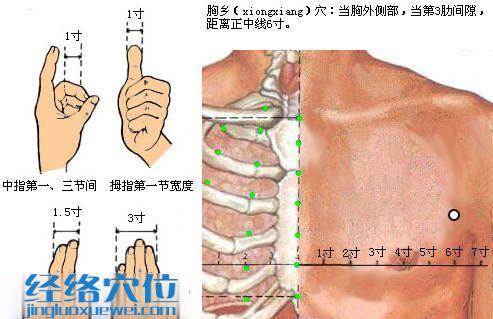 胸鄉穴的位置圖
