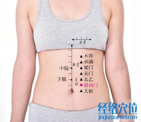 滑肉門的準(zhǔn)確位置圖及功效視頻位位置圖