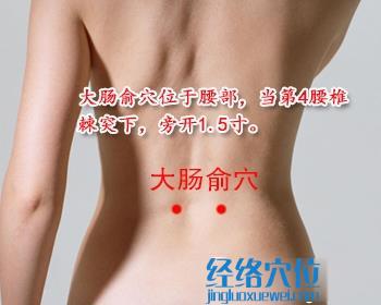 大腸俞穴