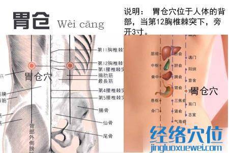 胃?jìng)}穴