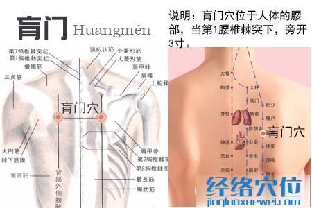 肓門(mén)穴