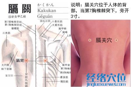 膈關(guān)穴