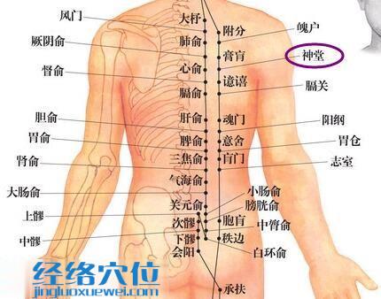 神堂穴位位置圖