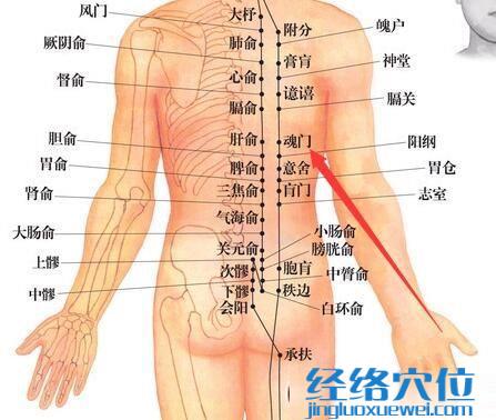 魂門穴