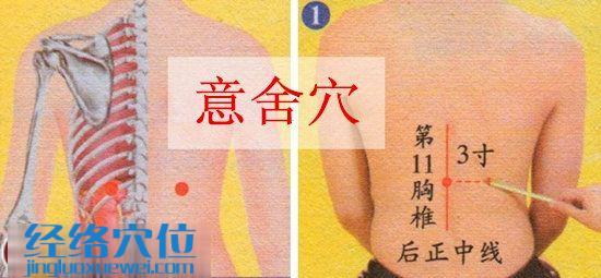 意舍穴的準確位置圖