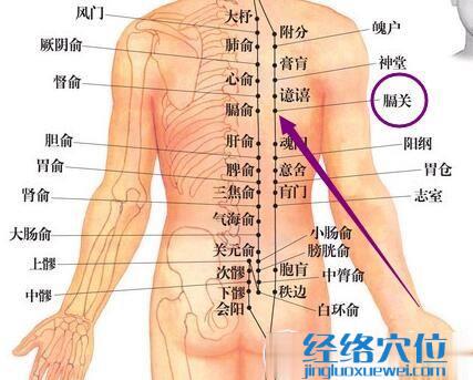 足太陽(yáng)膀胱經(jīng)膈關(guān)穴
