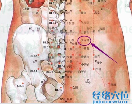 關元俞穴的準確位置圖