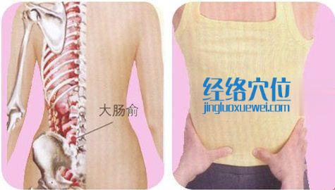 大腸俞穴的準確位置圖