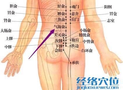 氣海俞穴的位置
