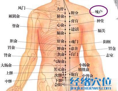 魄戶穴位圖