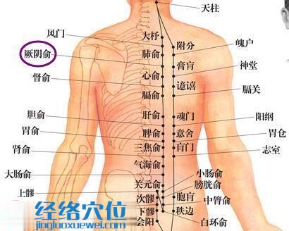 厥陰俞穴
