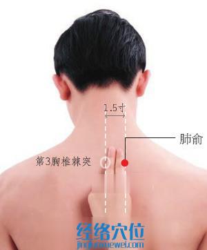 肺俞穴的準確位置圖