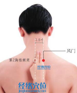 風門穴的取穴示意圖