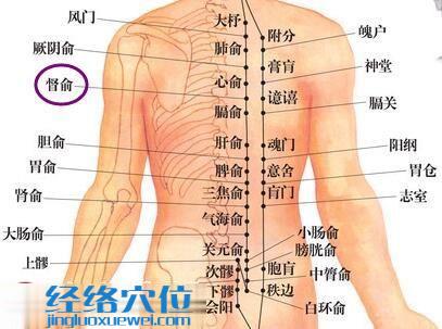 督俞穴的準(zhǔn)確位置圖