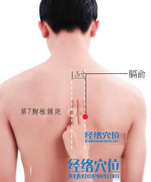 膈俞穴位位置圖