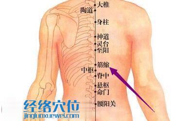 筋縮穴位圖
