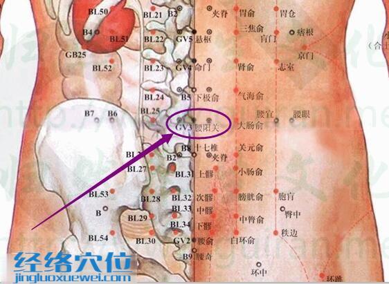 腰陽關穴的準確位置圖