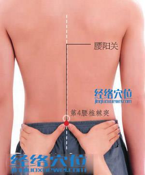 腰陽關穴的準確位置圖
