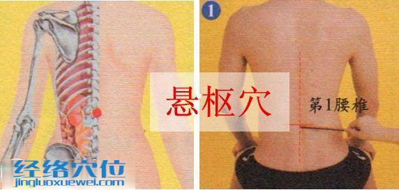 懸樞穴的準確位置圖