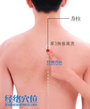 身柱穴的準確位置圖