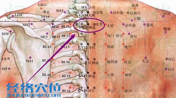 陶道穴的準(zhǔn)確位置圖