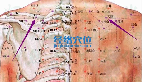 天髎穴的準確位置圖
