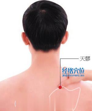 天髎穴位位置圖 天髎穴位位置圖
