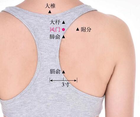 風(fēng)門的準(zhǔn)確位置圖及功效視頻位位置圖