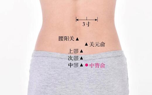 中膂俞的準(zhǔn)確位置圖及功效視頻位位置圖