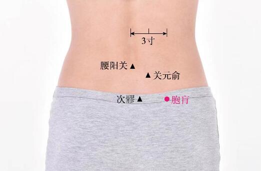 胞肓的準確位置圖及功效視頻位位置圖 胞肓的準確位置圖及功效視頻位位置圖
