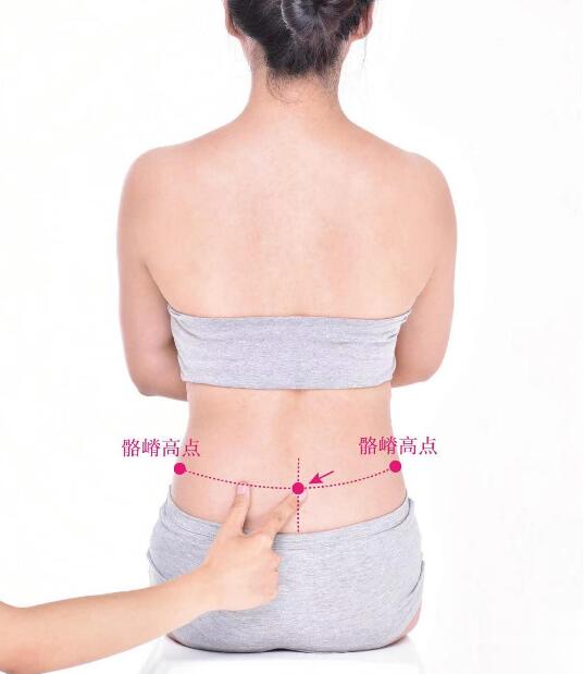 腰陽關的準確位置圖及功效視頻位位置圖