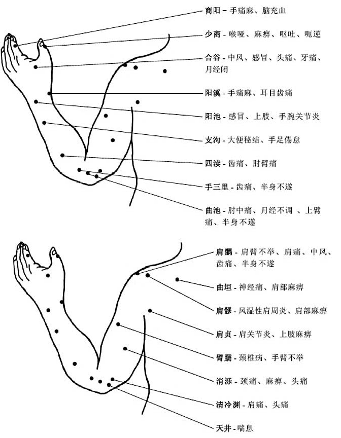 胳膊手部穴位圖及作用功效
