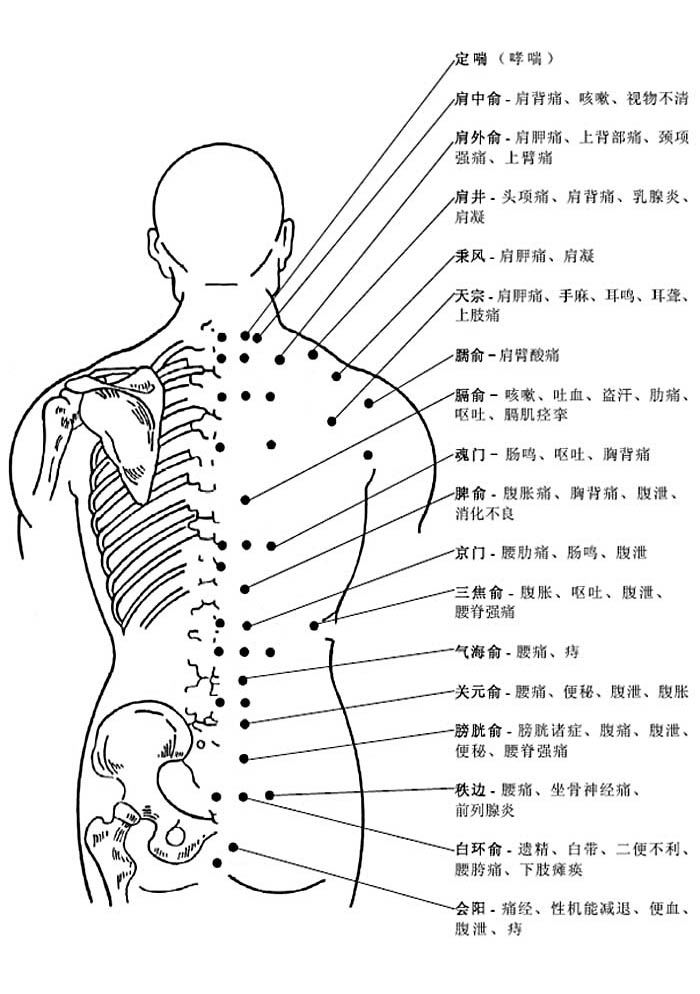 人體背部穴位圖及作用功效