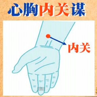 人體常用穴位之內關穴位圖