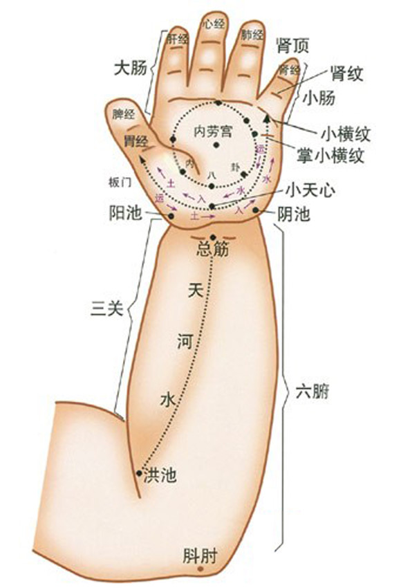 兒童上肢穴位圖