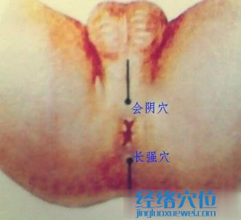 長強穴位置
