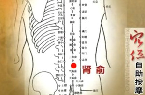 腎俞穴的位置圖