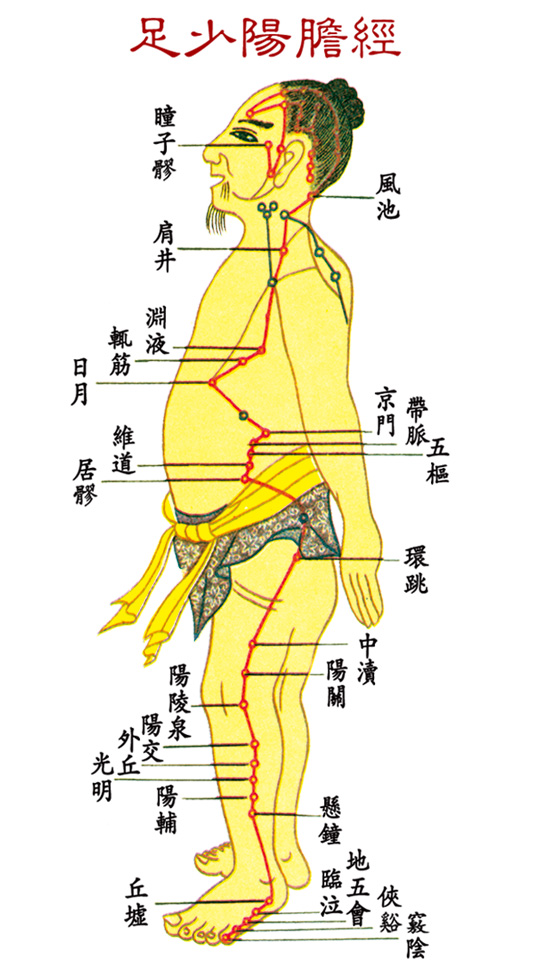 足少陰膽經