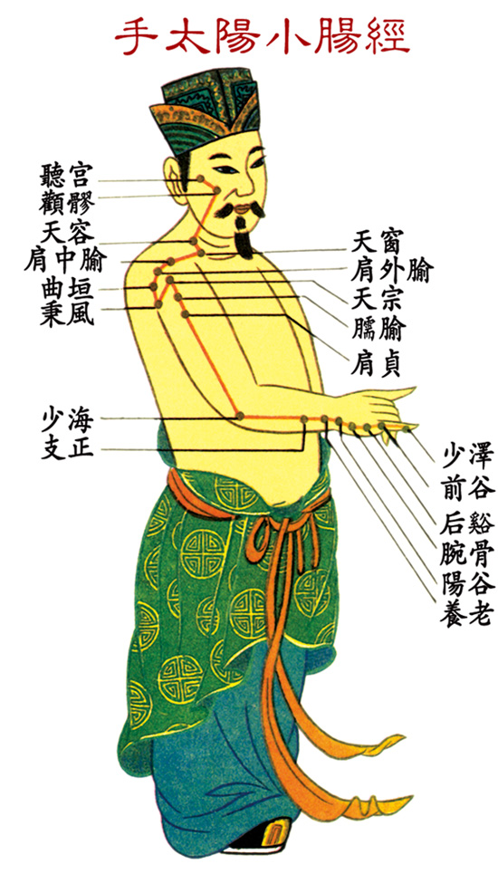 手太陽小腸經