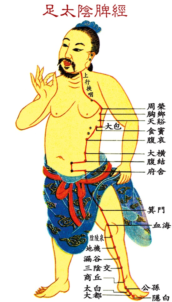 足太陰脾經