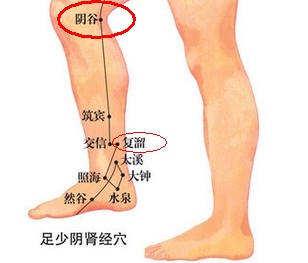 復(fù)溜穴