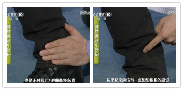 三陰交準確位置圖