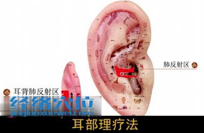 耳部理療法