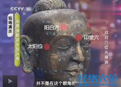 陽白穴、印堂穴、太陽穴的穴位位置圖