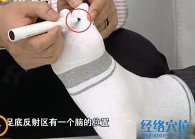 足底反射區中的腦反射區位置圖