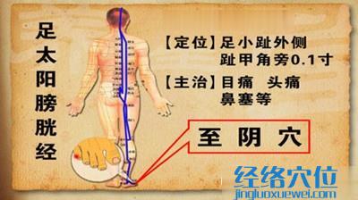 至陰穴的位置及作用功效