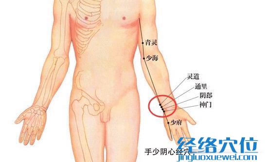 神門(mén)穴、陰郄、通里、靈道，四個(gè)穴位的準(zhǔn)確位置圖