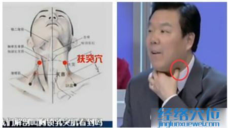 扶突穴的準確位置圖